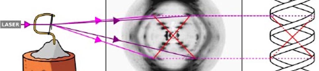 WEN – Intelligenza Scientifica – A Rosalin Franklin (1920- 1958) – MITI alias MIriam TIcci