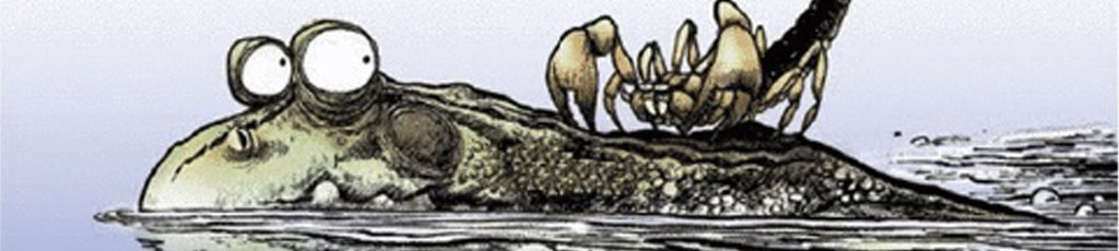 WEN – Intelligenza animale – Lo scorpione e la rana – MITI alias Miriam Ticci