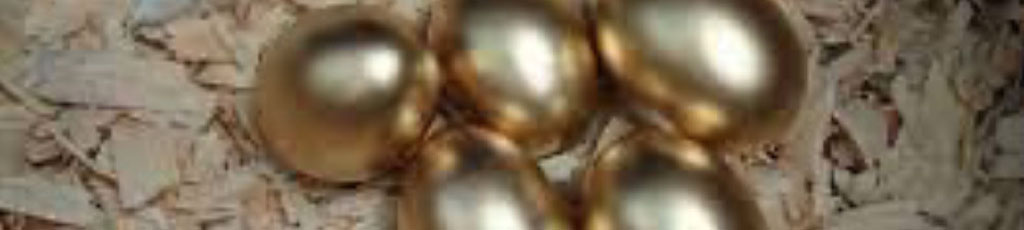 WEN – Intelligenza animale – La gallinella dalle uova d’oro – MITI alias Miriam Ticci